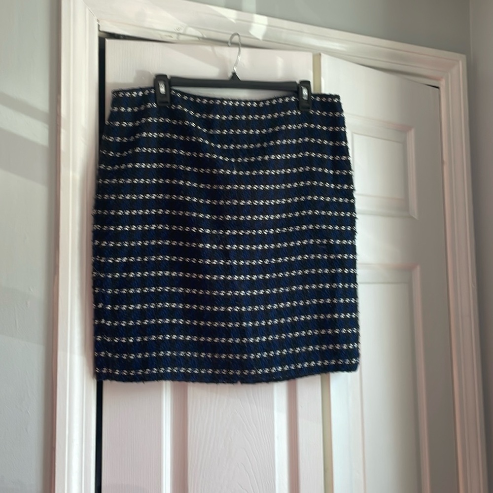 Ann Taylor skirt